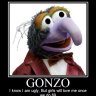 Gonzo1313