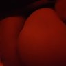 femboy_madrid